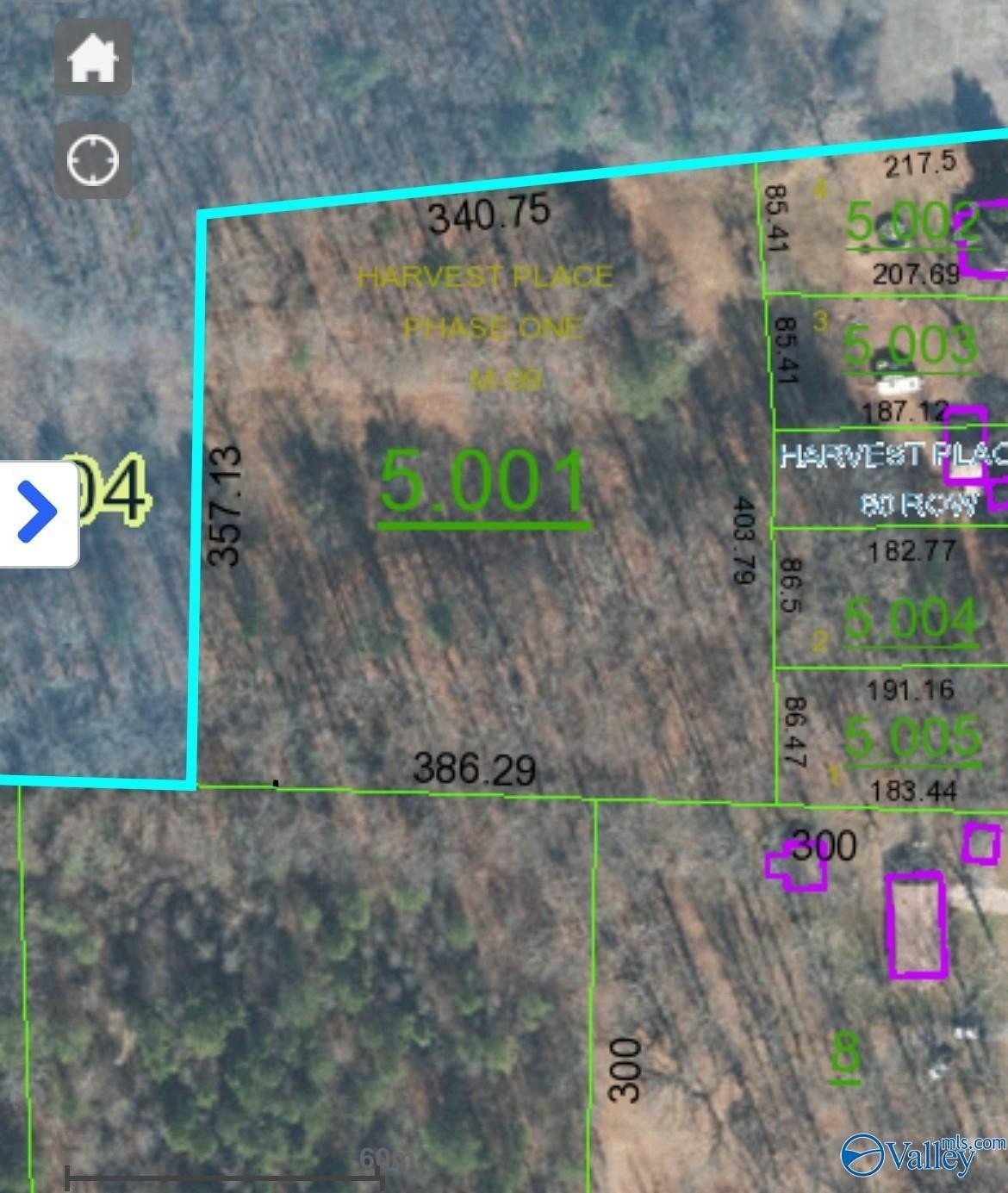 1. 3.1 Acres Walter Whitt Rd