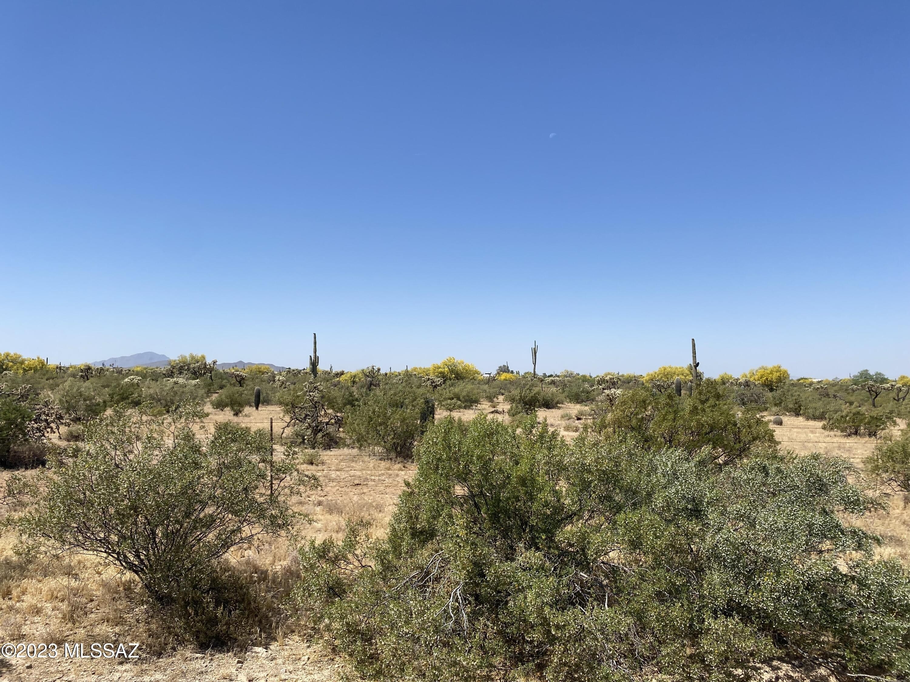 19. 11acres E Cactus Forest Rd Road