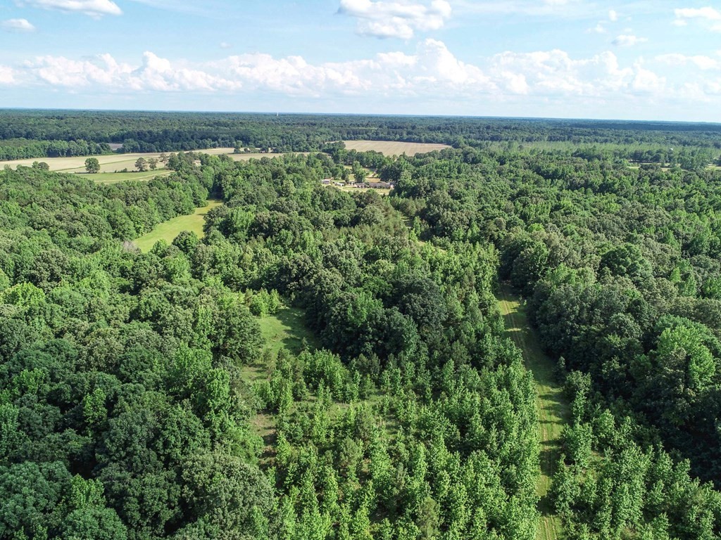 21. 3239 Mudline Road - Tallahatchie County