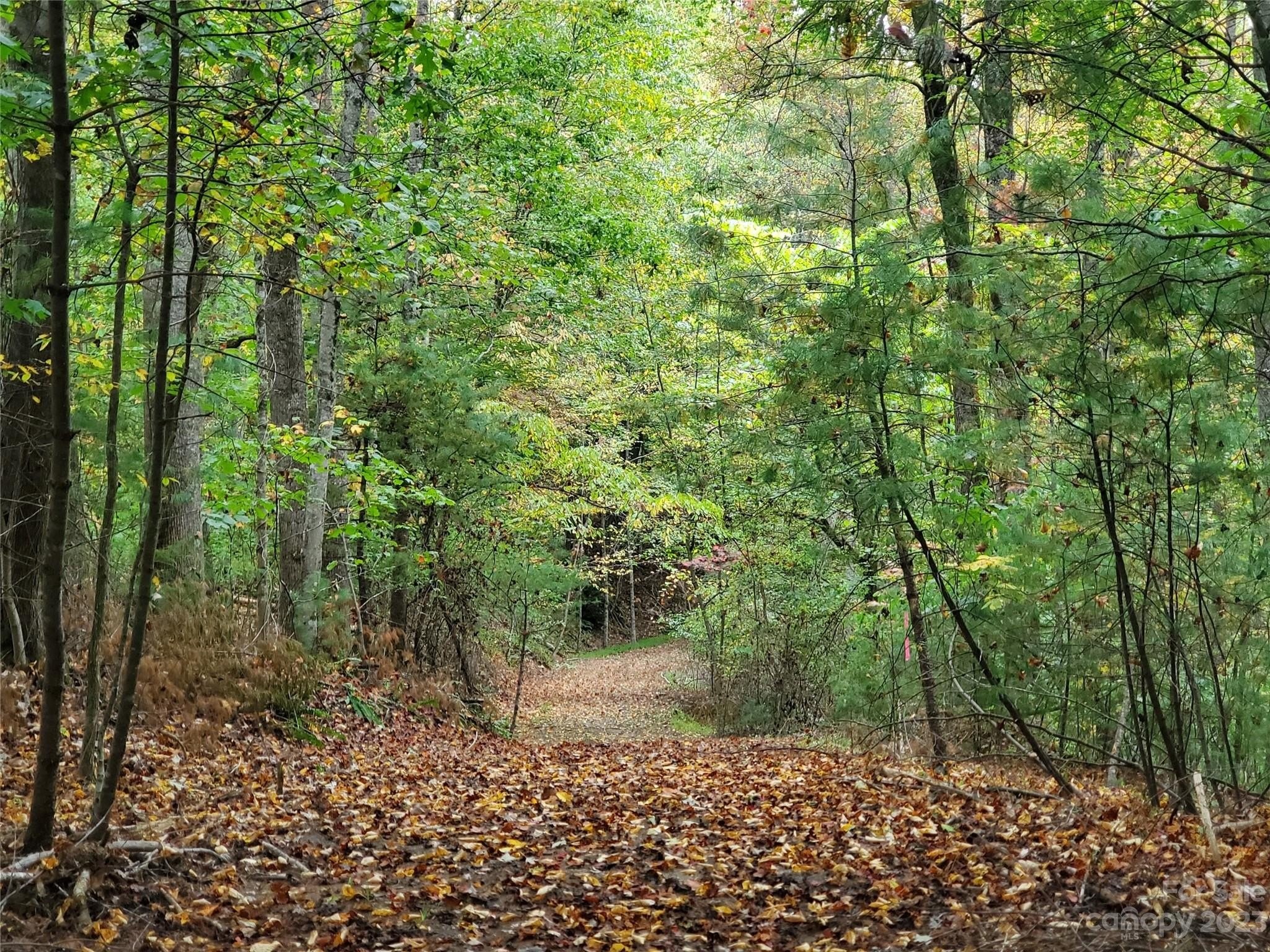 1. 00 Hickory Wood Trail