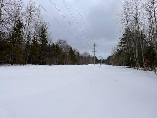 19. Lot 106 White Pine Drive