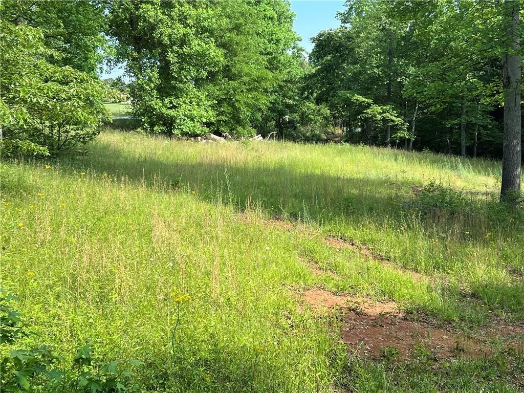 1. 00 Golden Springs Lot 9a Drive