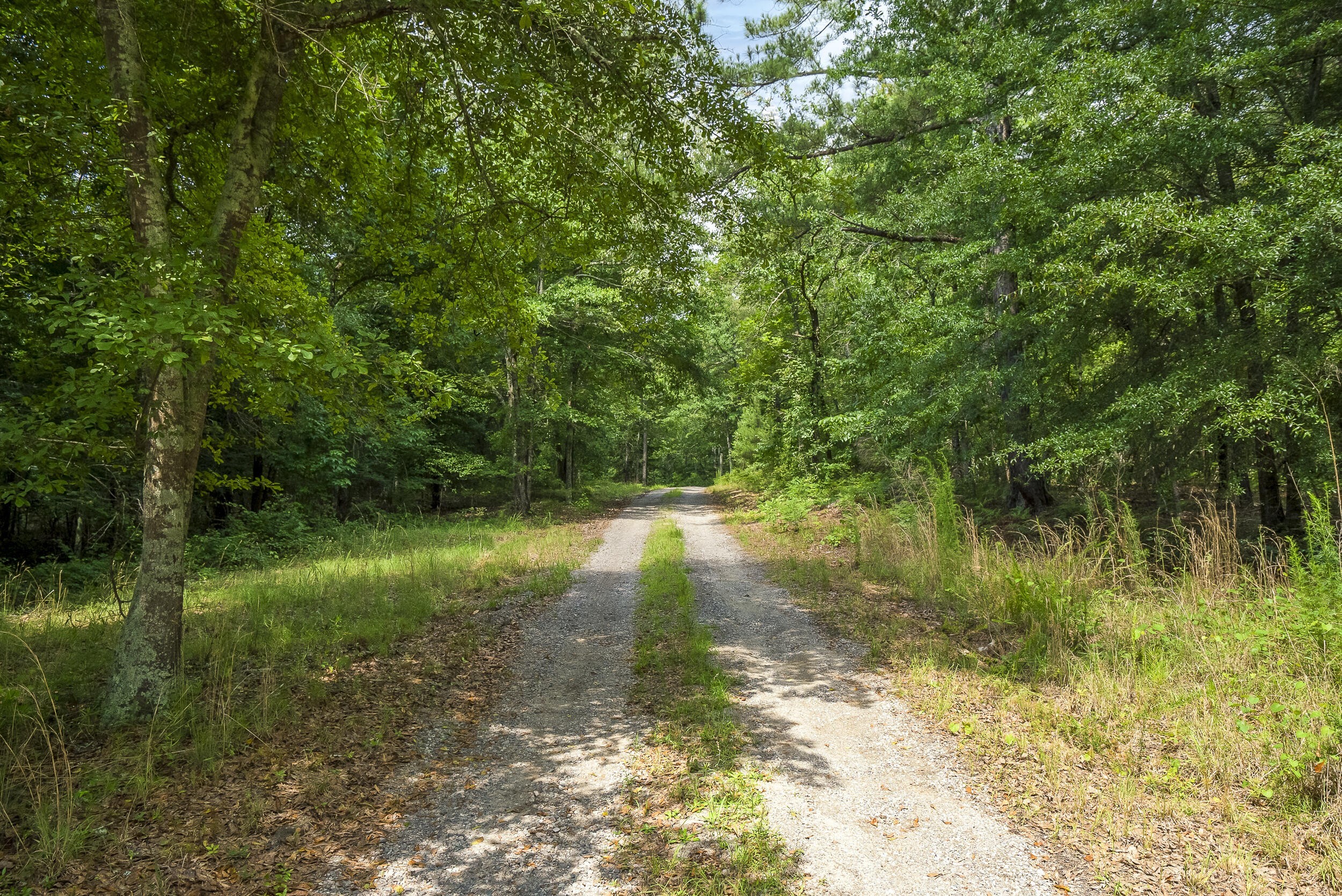 2. 1970 Gray Mare Hollow Road