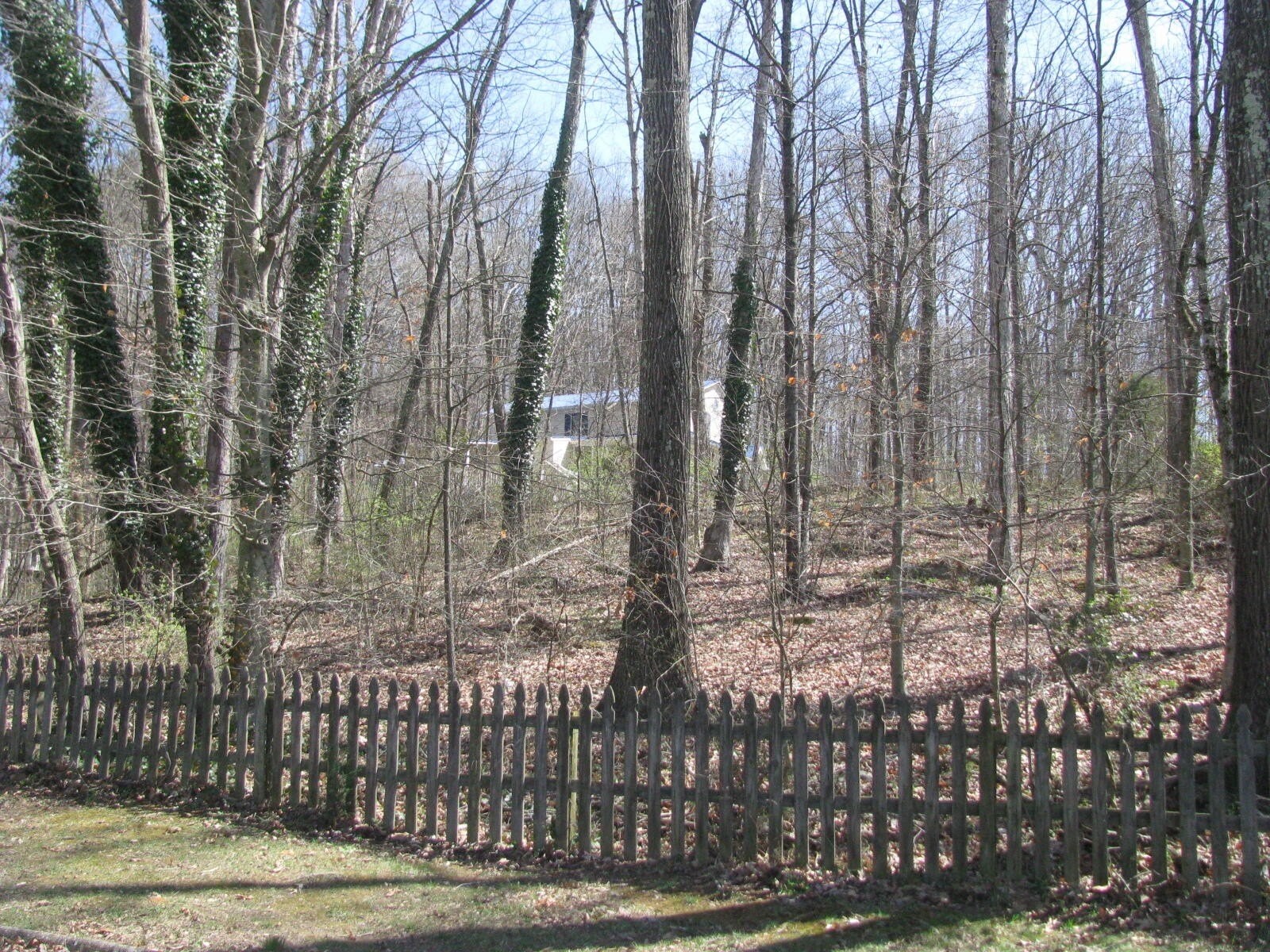 2. Lot 54 Kings Mountain Drive