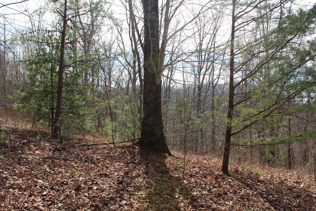 2. Lot 26 Shiloh Overlook