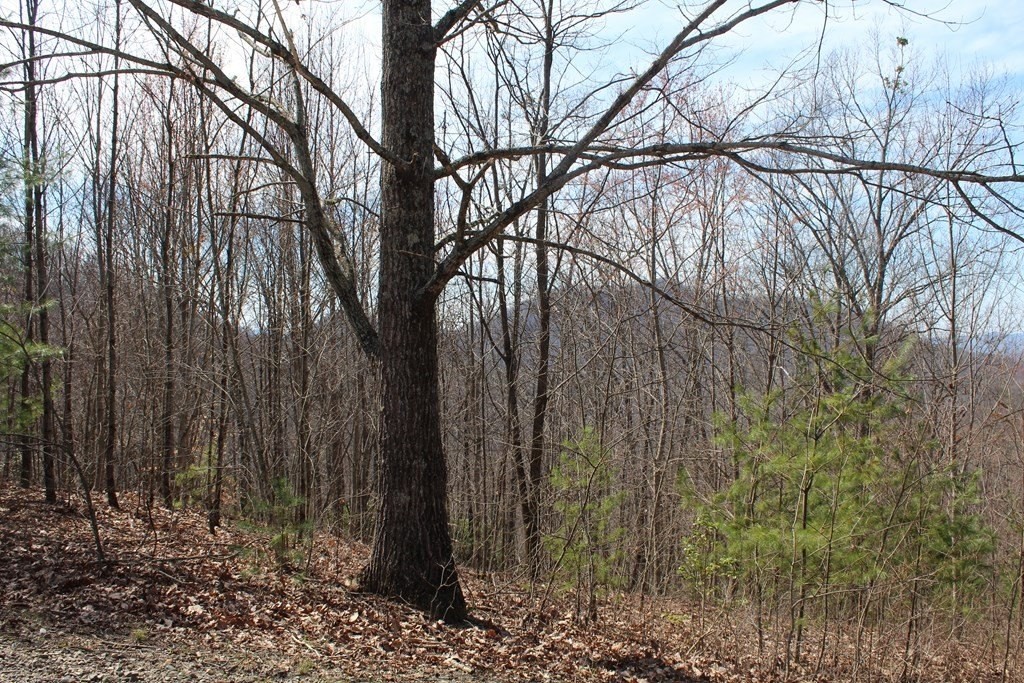 6. Lot 26 Shiloh Overlook