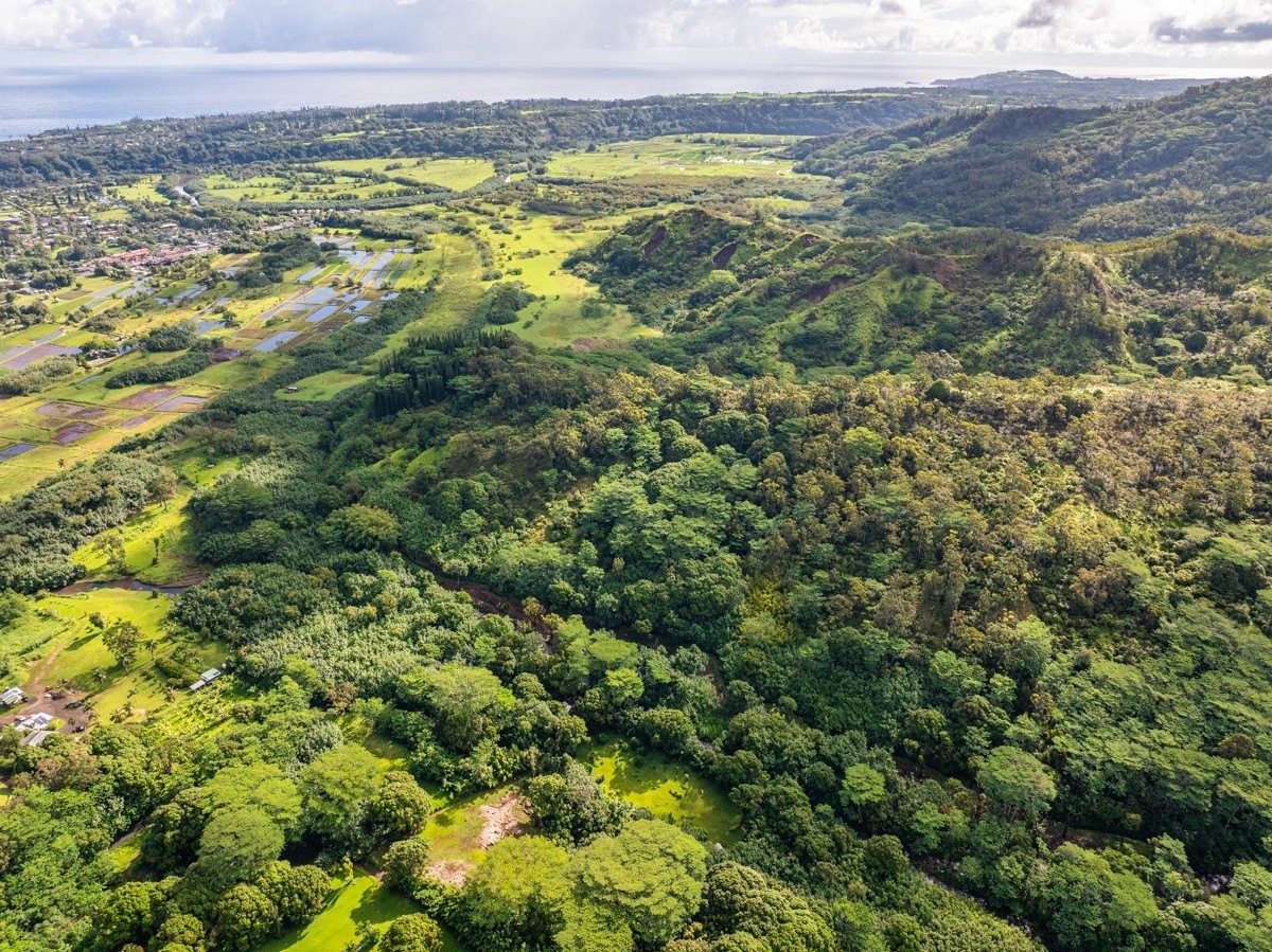 9. Kuhio Hwy