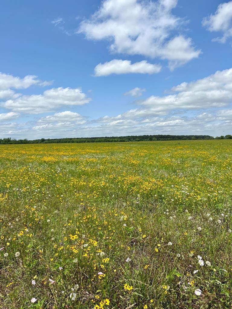 1. 0 Cr 48, Off Hwy 288