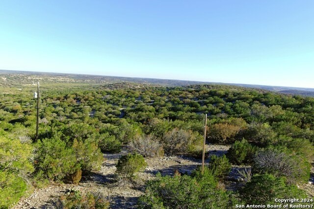 2. Rocksprings,Tx Turkey Creek Ranch