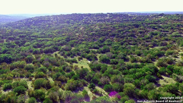 16. Rocksprings,Tx Turkey Creek Ranch