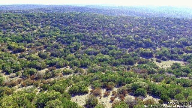 3. Rocksprings,Tx Turkey Creek Ranch