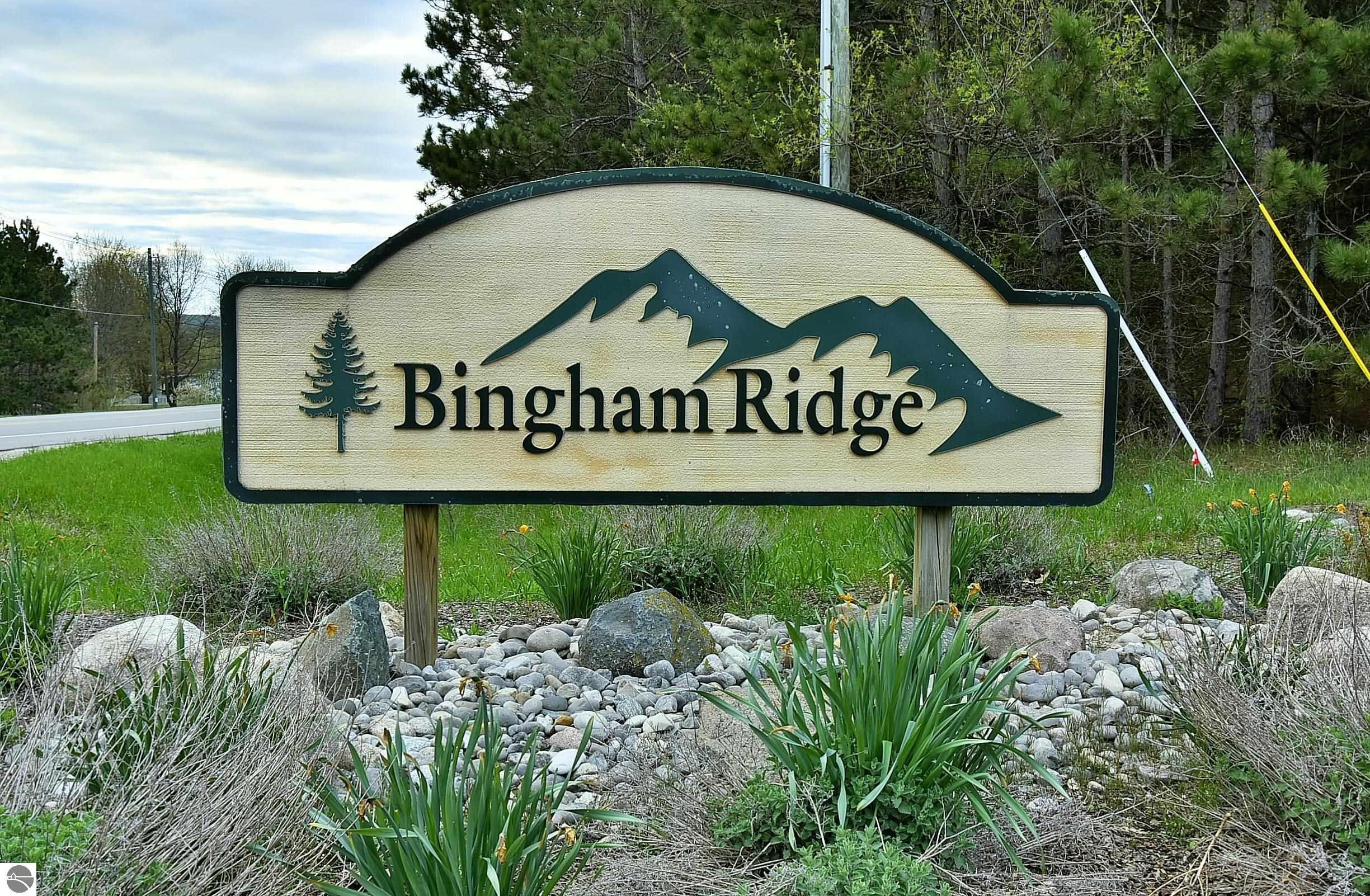 8. 8121 S Bingham Ridge Drive