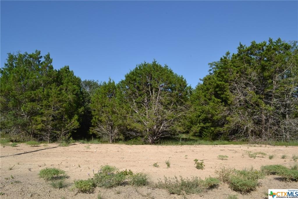 3. Block 7, Lot 10 Lampasas River Place Phase Two