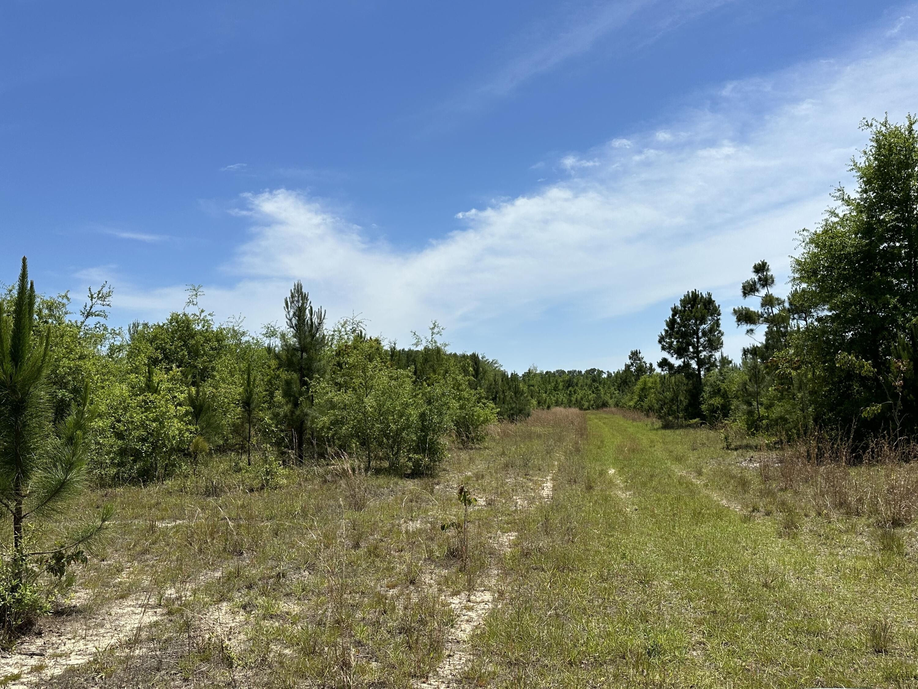 6. 90+/-Ac Frost Lane