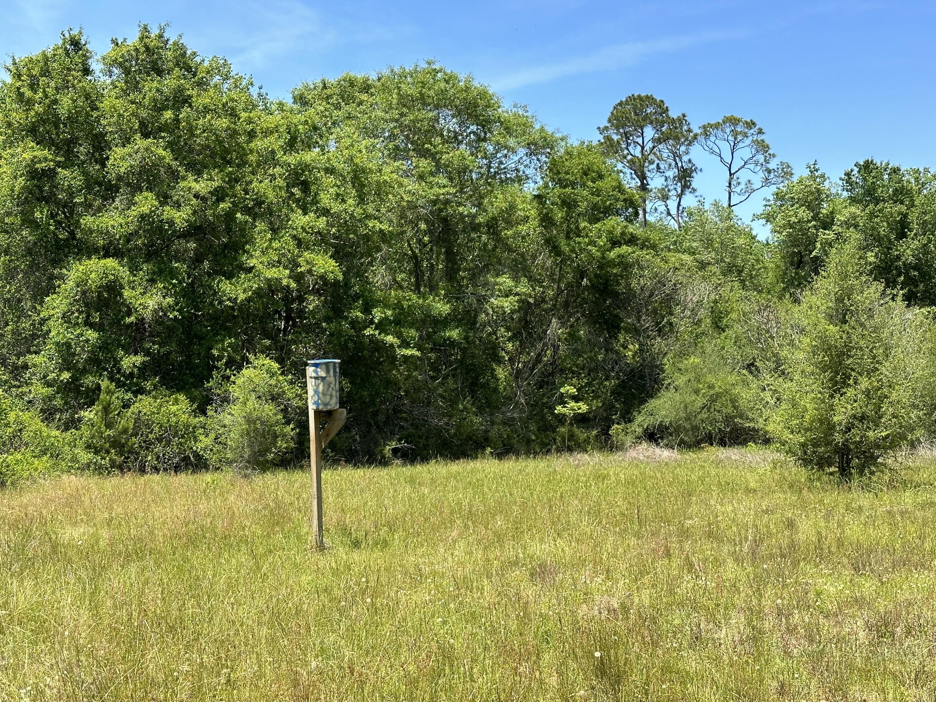 2. 90+/-Ac Frost Lane