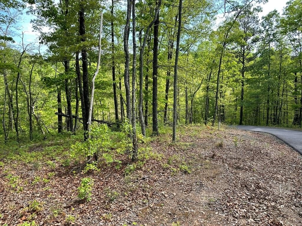 7. Lot 12 Settawig Overlook