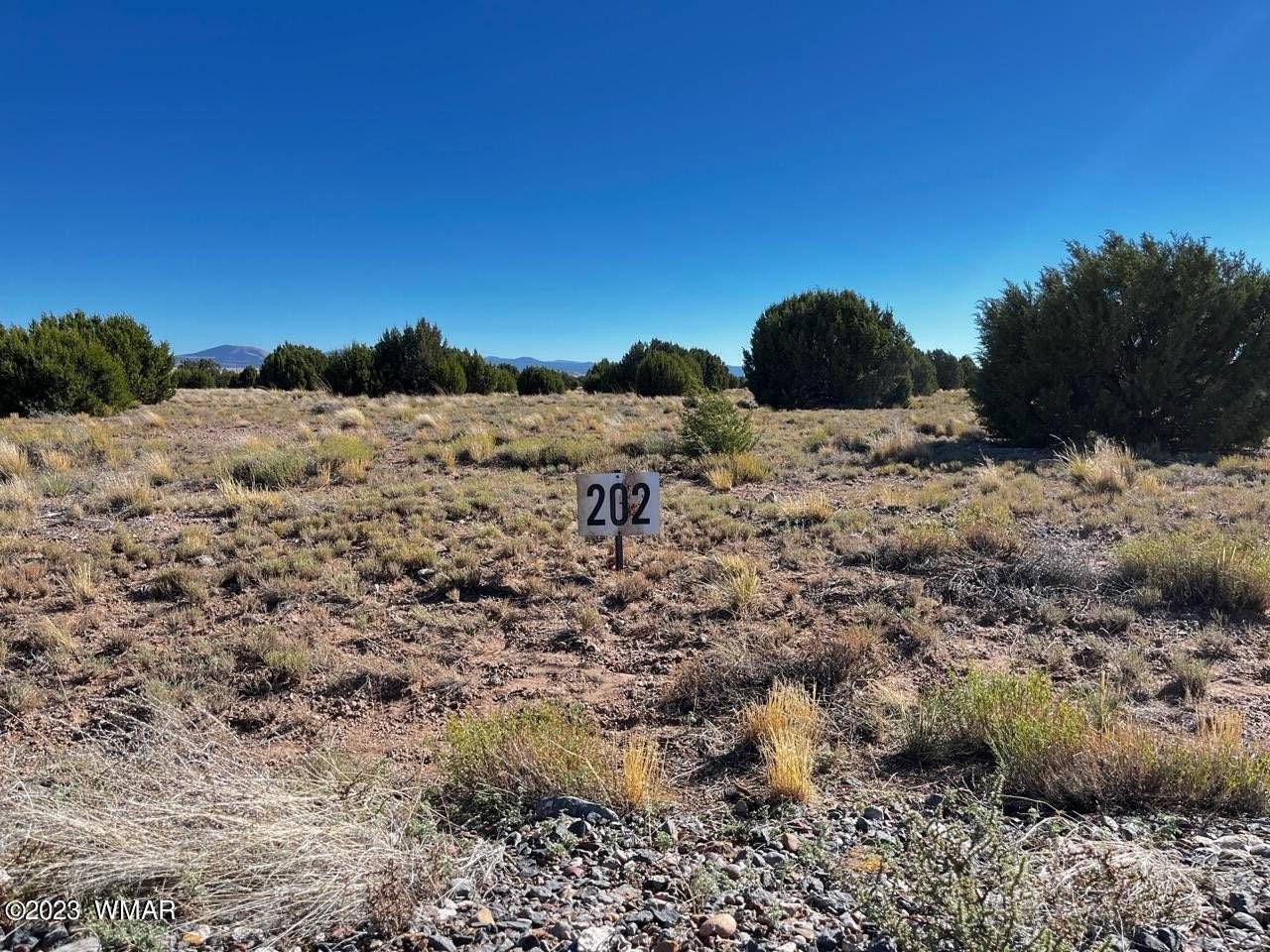 1. Lot 202 County Rd 8637