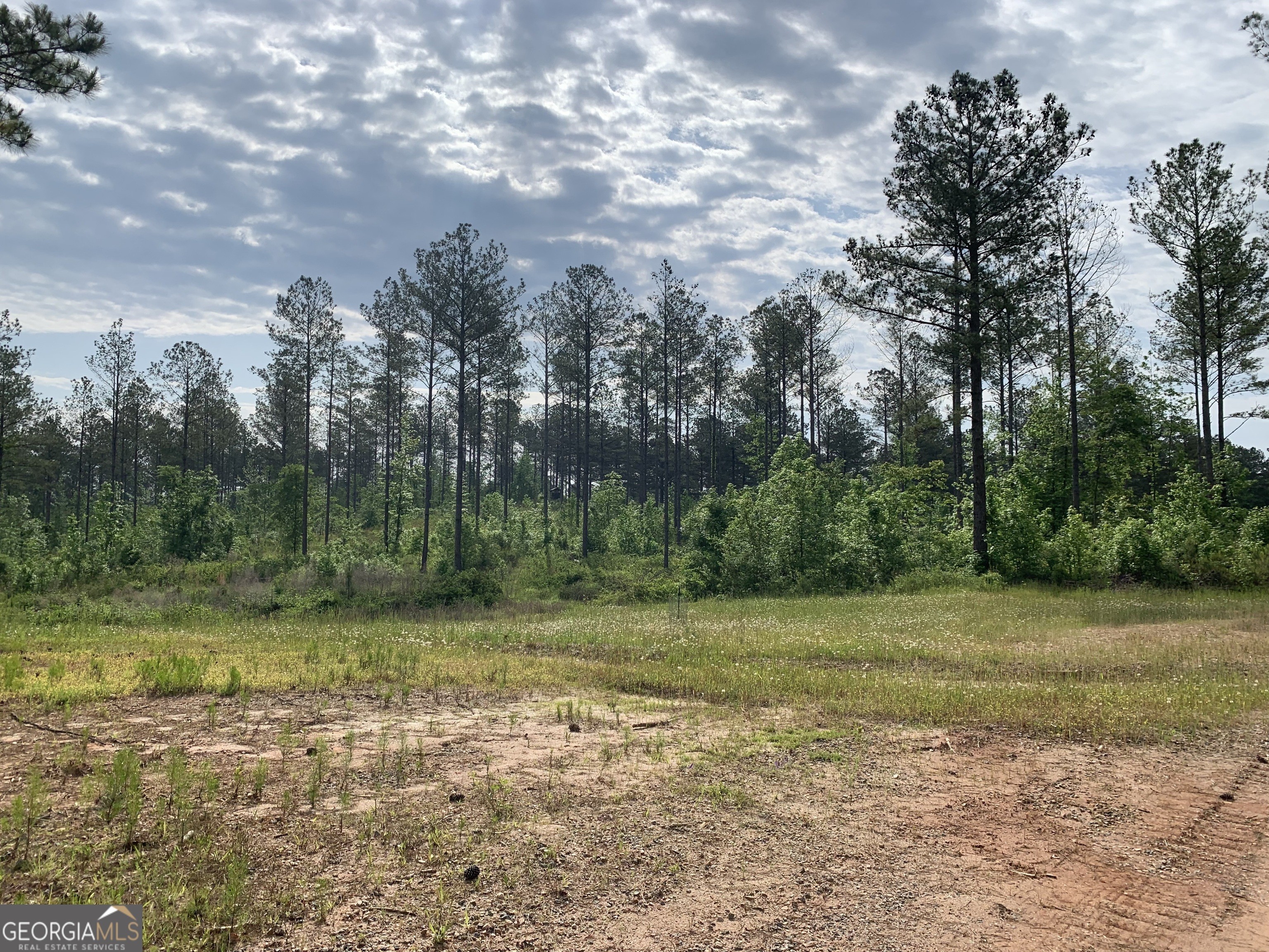 15. 337.27 Ac Jarrell Road