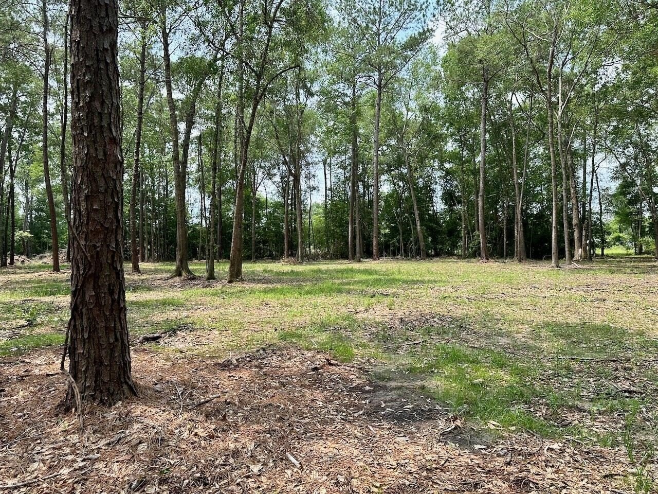 6. 0000 Sweetgum