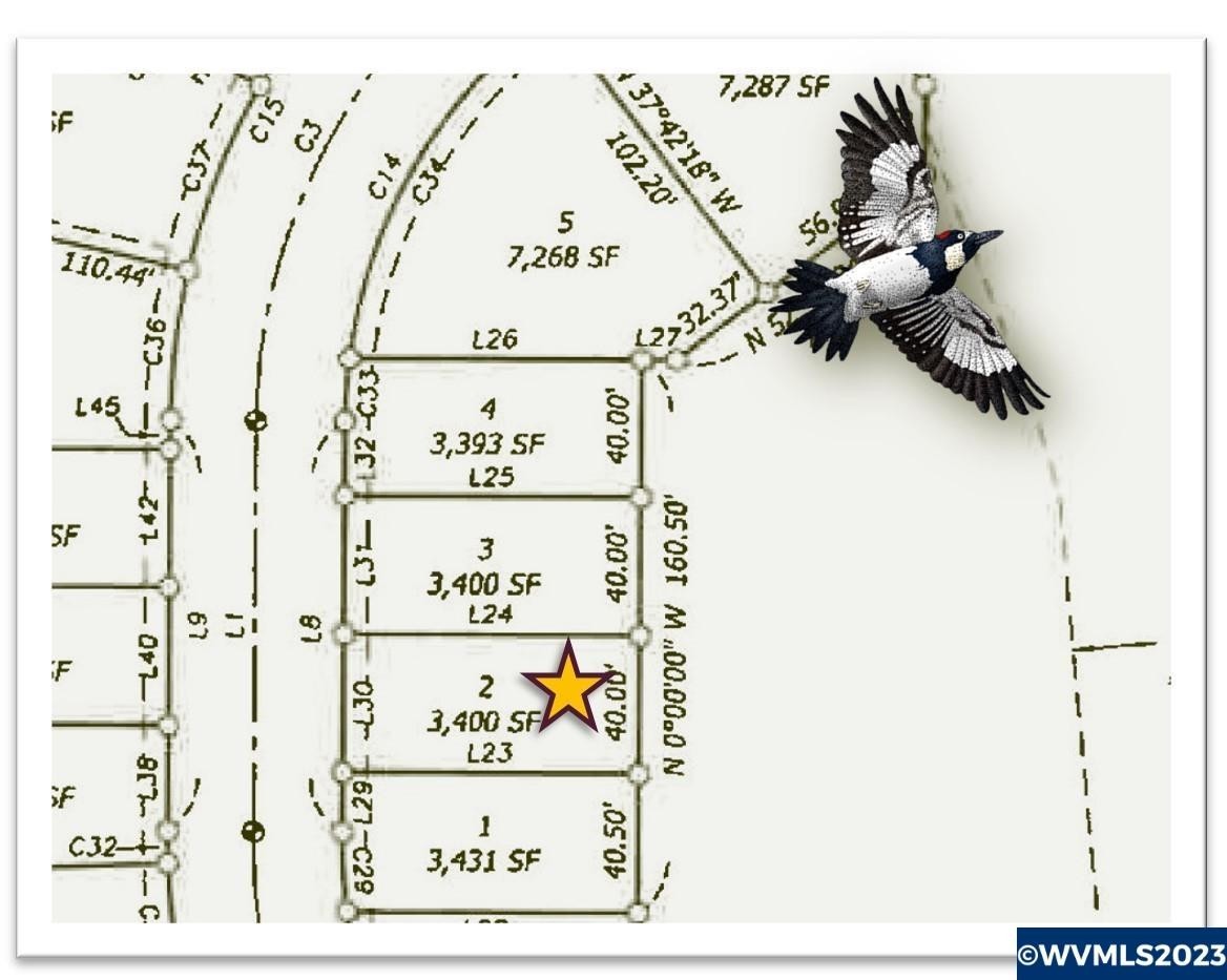 2. NW Goldfinch (Lot 2) Dr