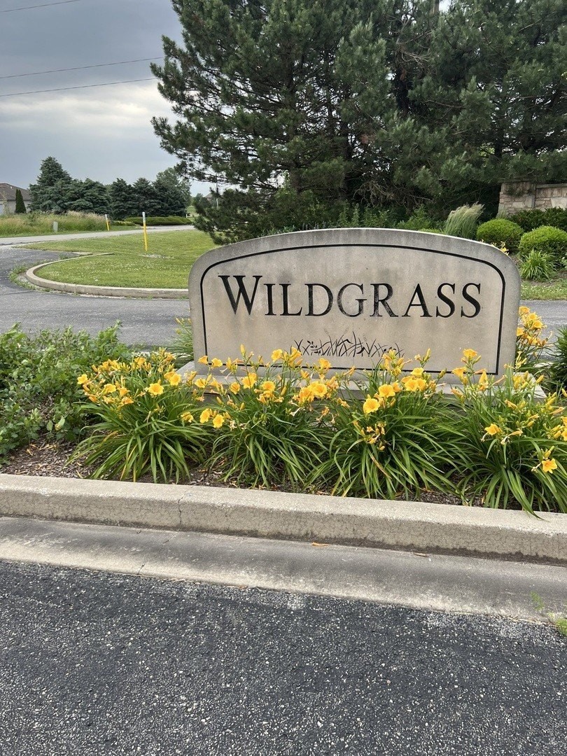 2. 26622 S Wildgrass Turn Lot 46