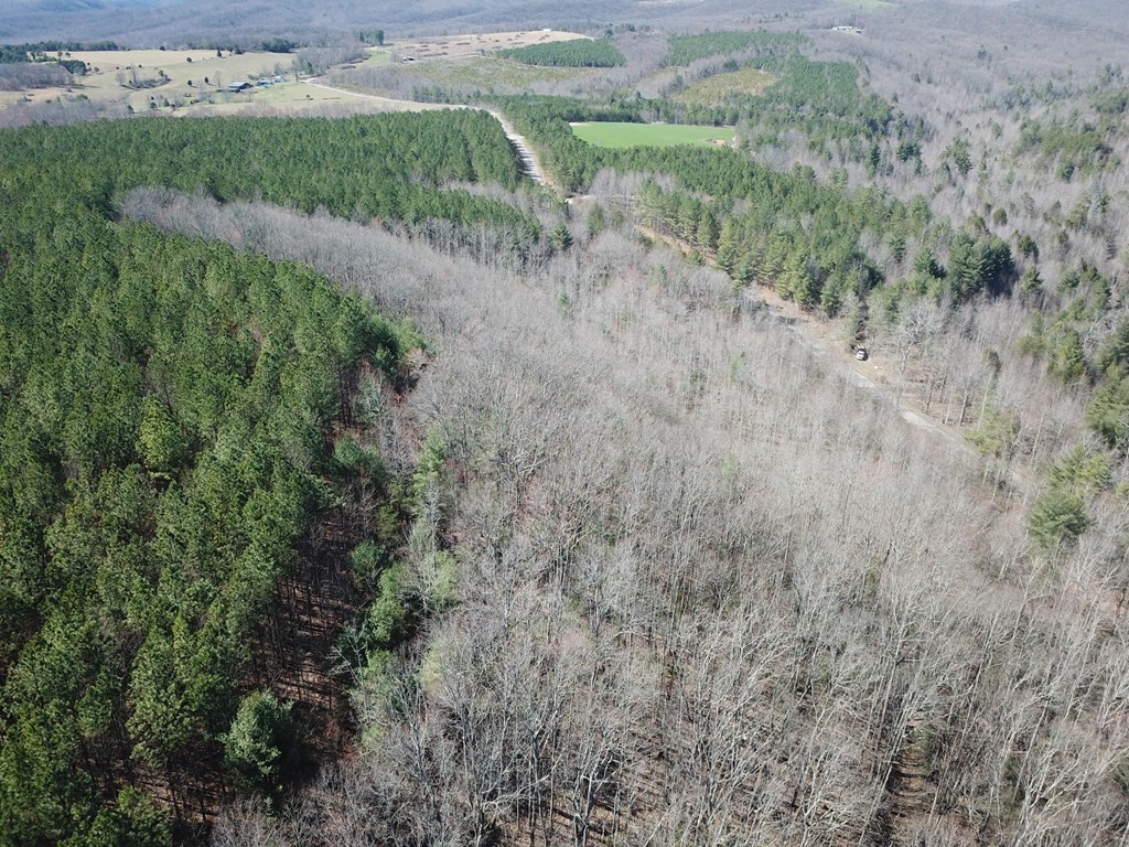 3. 1 Millstone Mountain Road