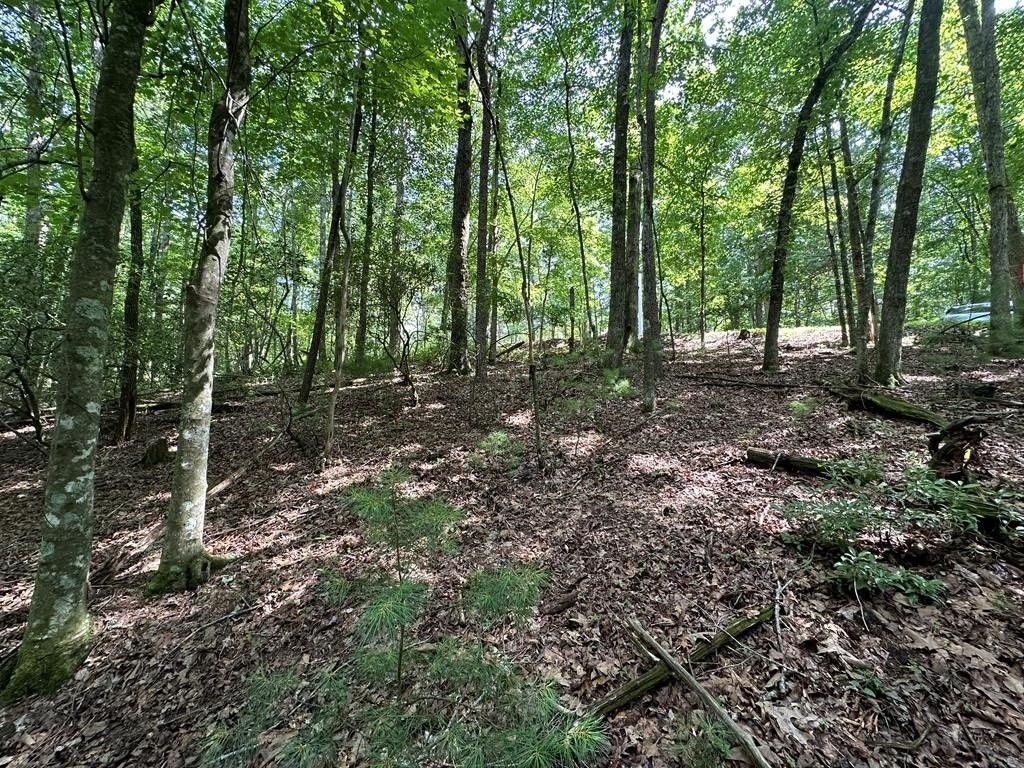 1. Lot 305 Seneca Dr