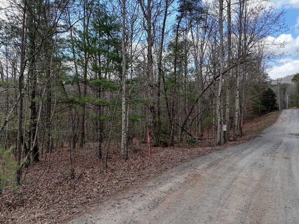 2. 2.77 Ac Mangums Trail