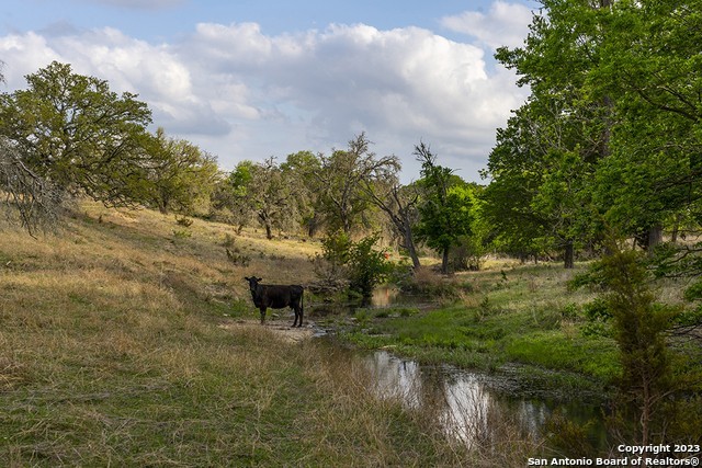 1. 855 Lindig Ranch Rd