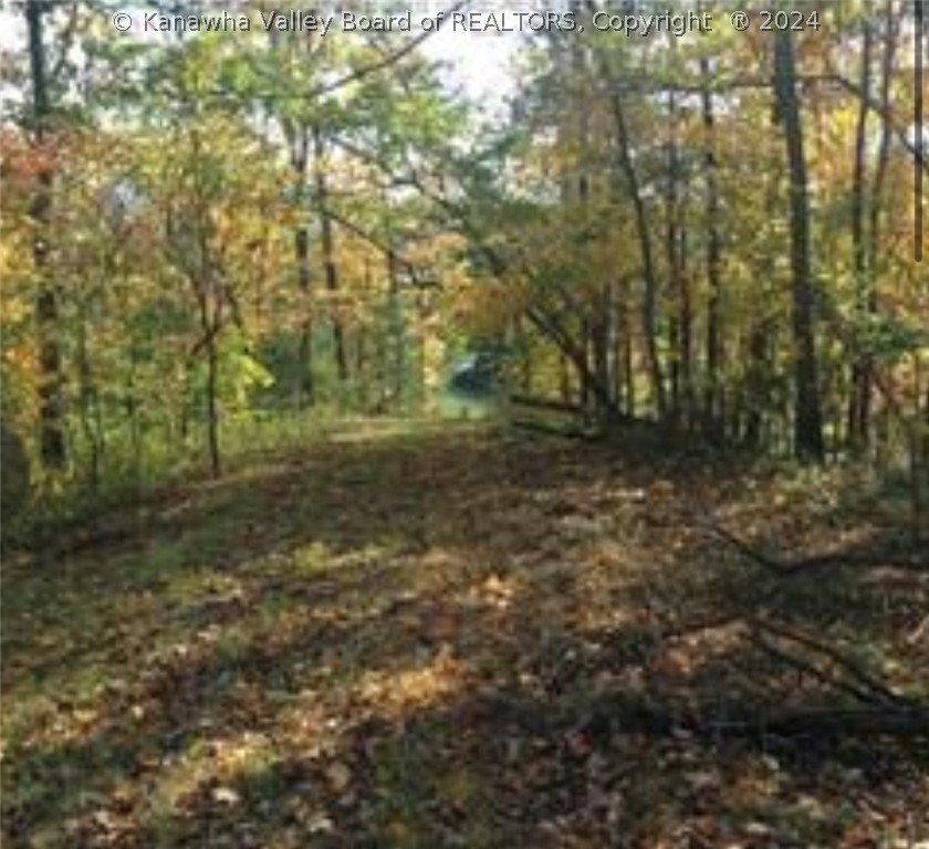 1. Lot 12 Quail Pointe Drive