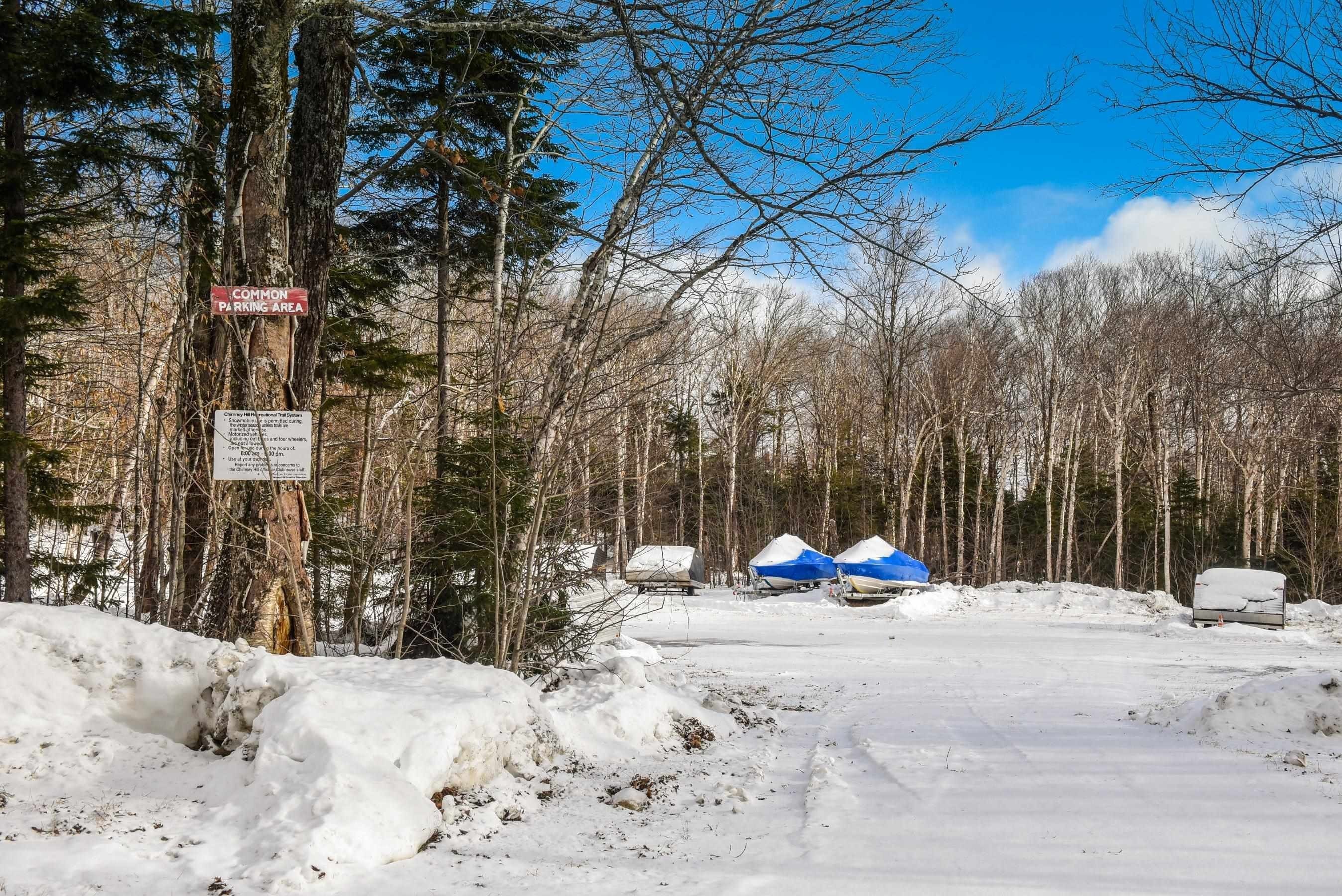 26. 6 Scattered Timber Road