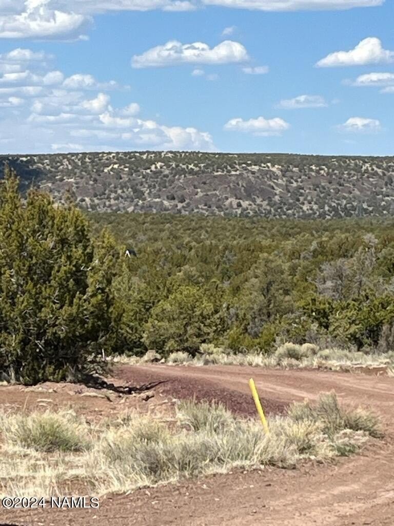 6. 976 E Bighorn Trail