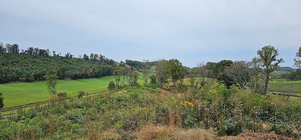 8. Tbd Lot 20  Old Saltworks Road