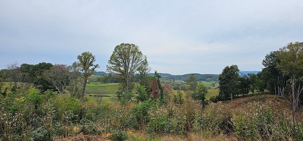 4. Tbd Lot 20  Old Saltworks Road