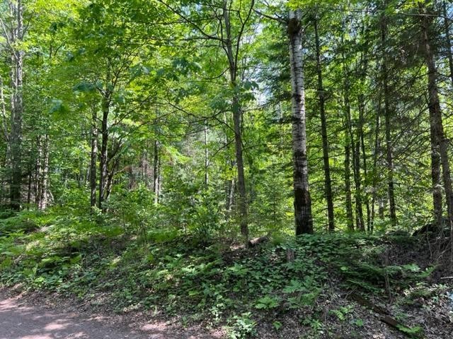 1. Lot F Oestreich Rd