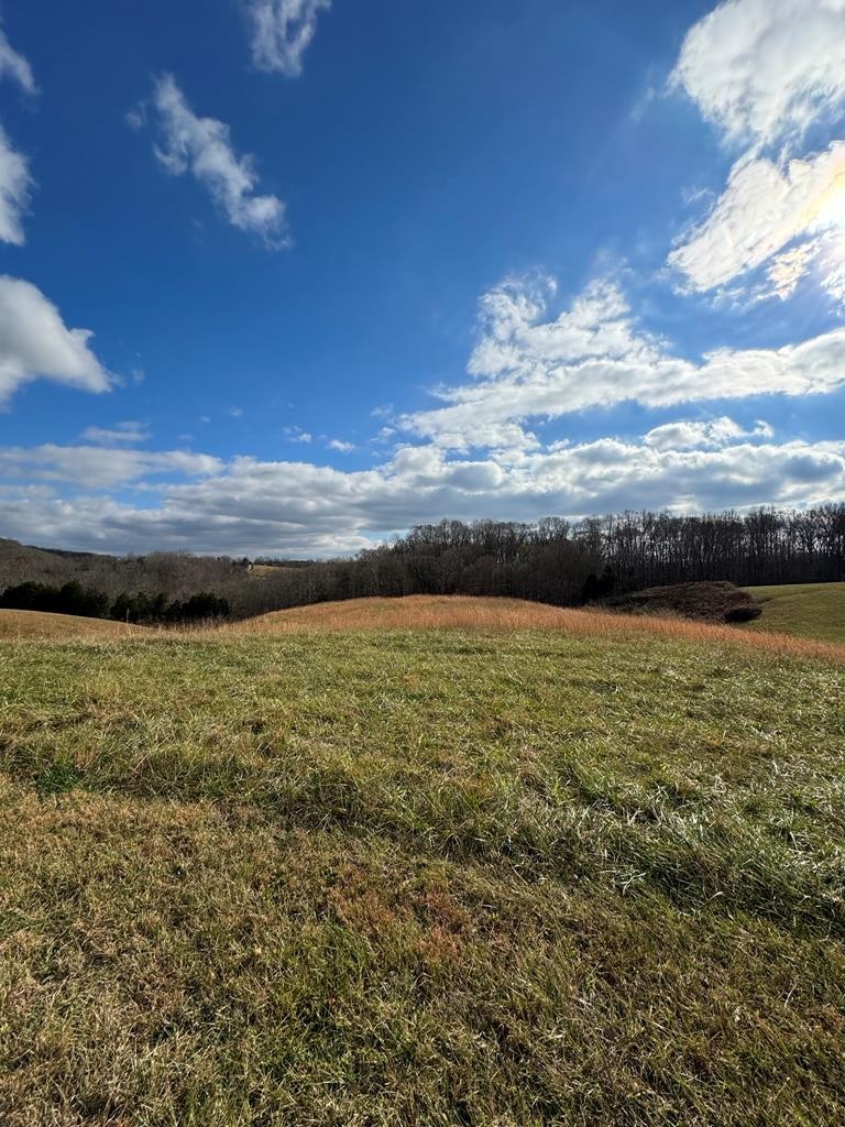 1. Lot 5 Holly Bend Dr.