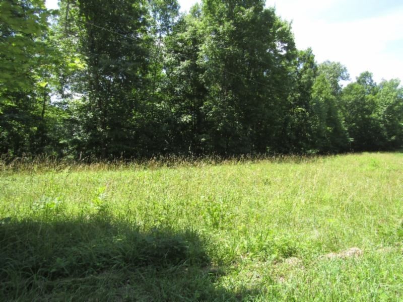 7. Lot 5&amp;6 Benton Tidwell Rd