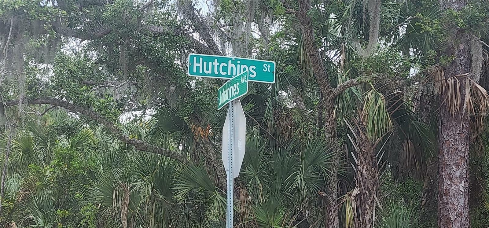 3. 343 Hutchins Street