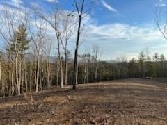 1. 20  Ac Vista Ln