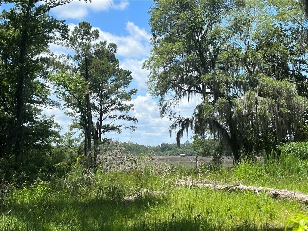 1. Lot 7 (White Chimney) Neal Blvd