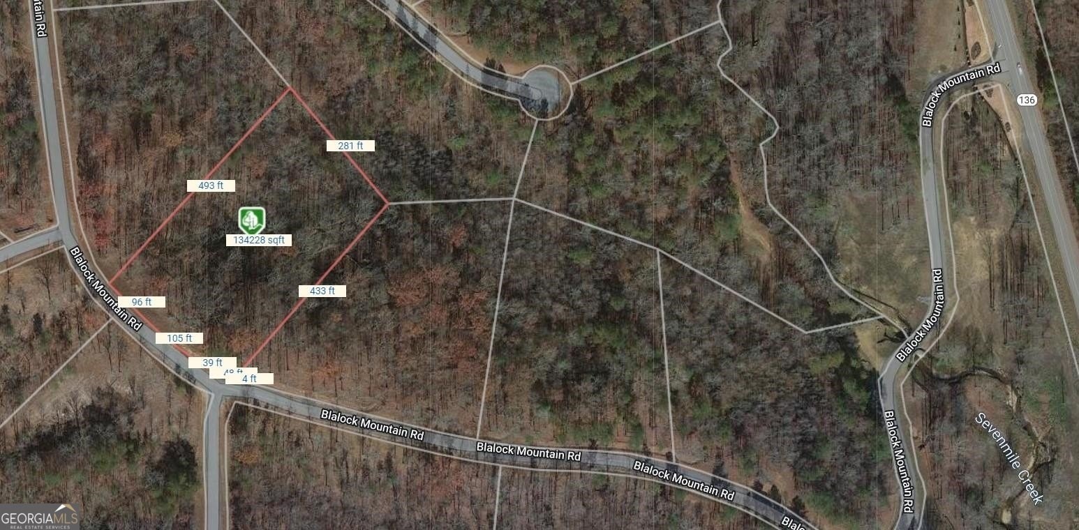 3. Lot 04 Blalock Mountain Road