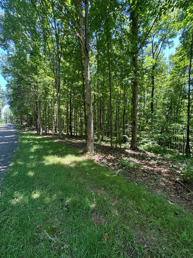 2. Lot 17 Tobin Ridge Road