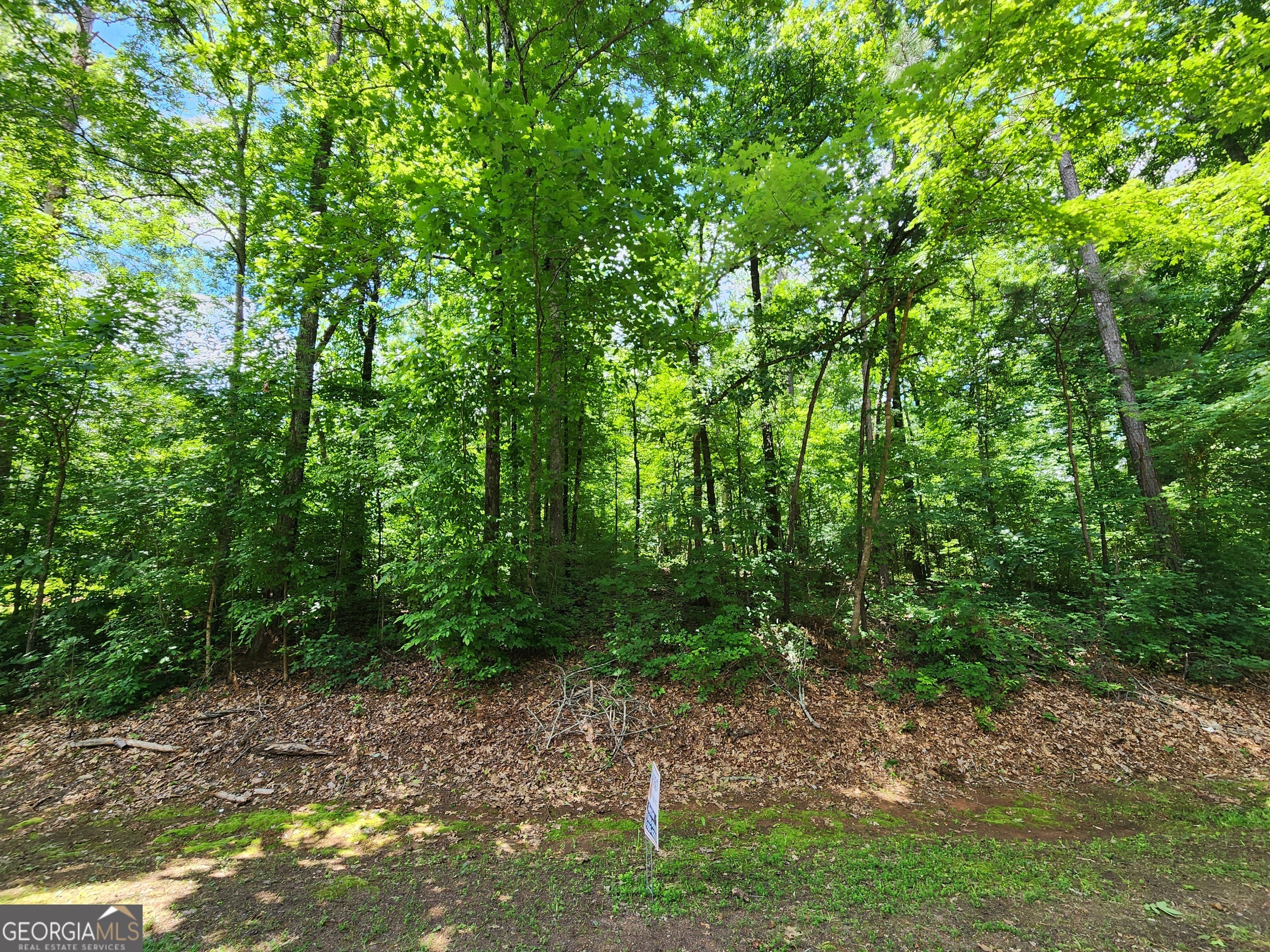 2. Lot 162 Sycamore Dr