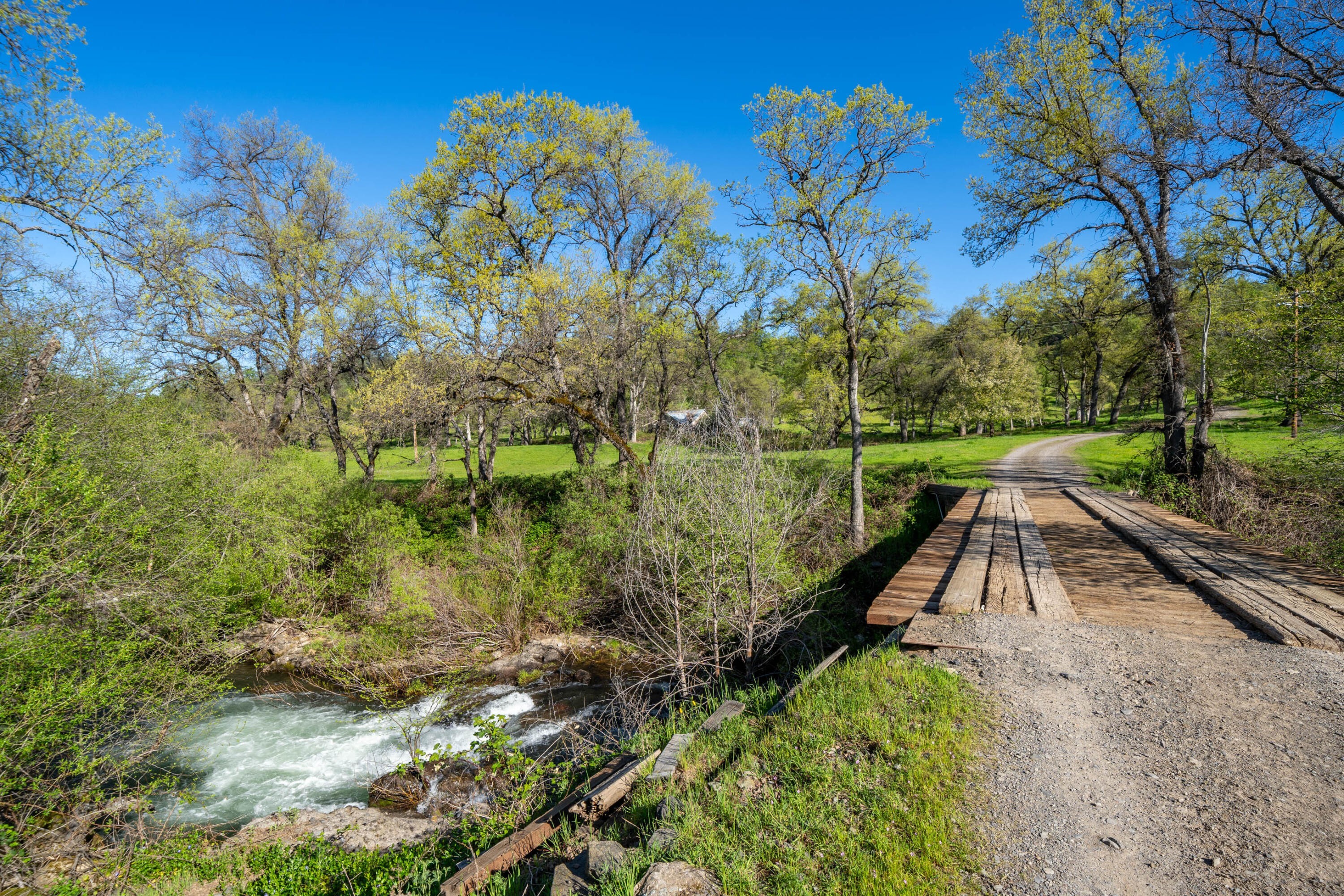 11. 9568 Blue Mountain Ranch Road