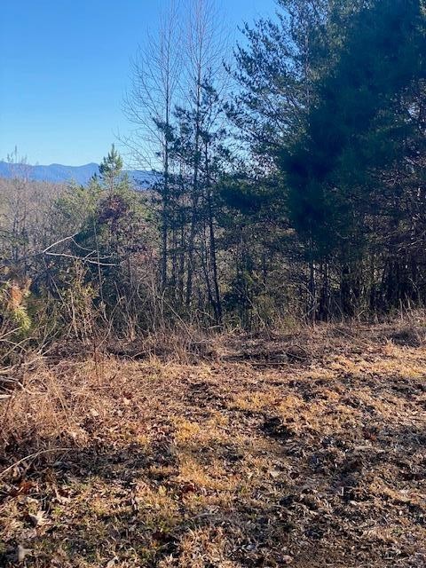 2. Lt 18 Brasstown Acres