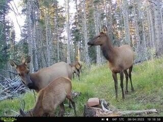 21. Lot 1267 Starlight Overlook