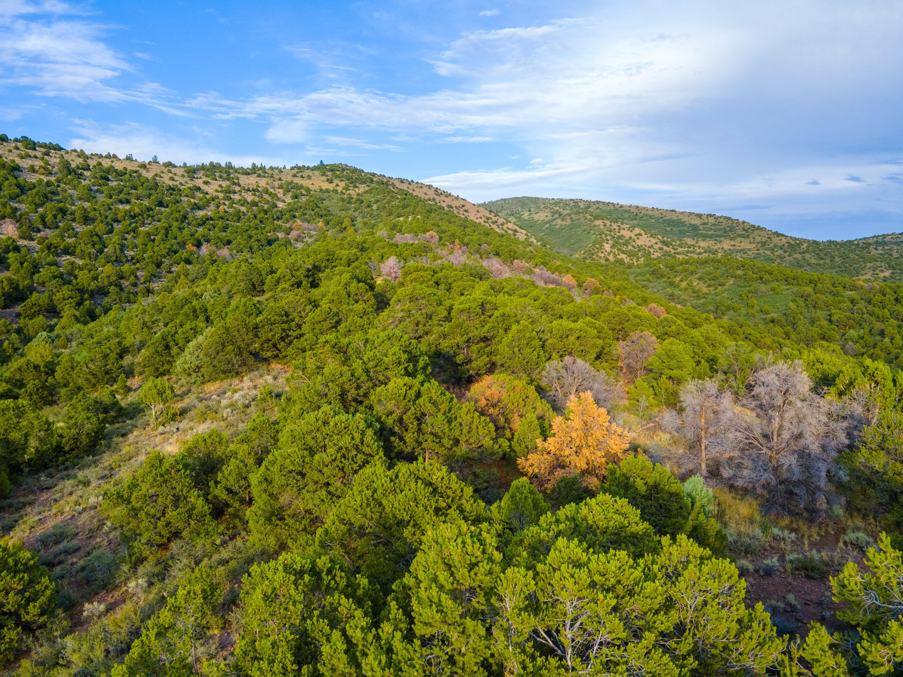 21. 640 Acres At Freemont Wash