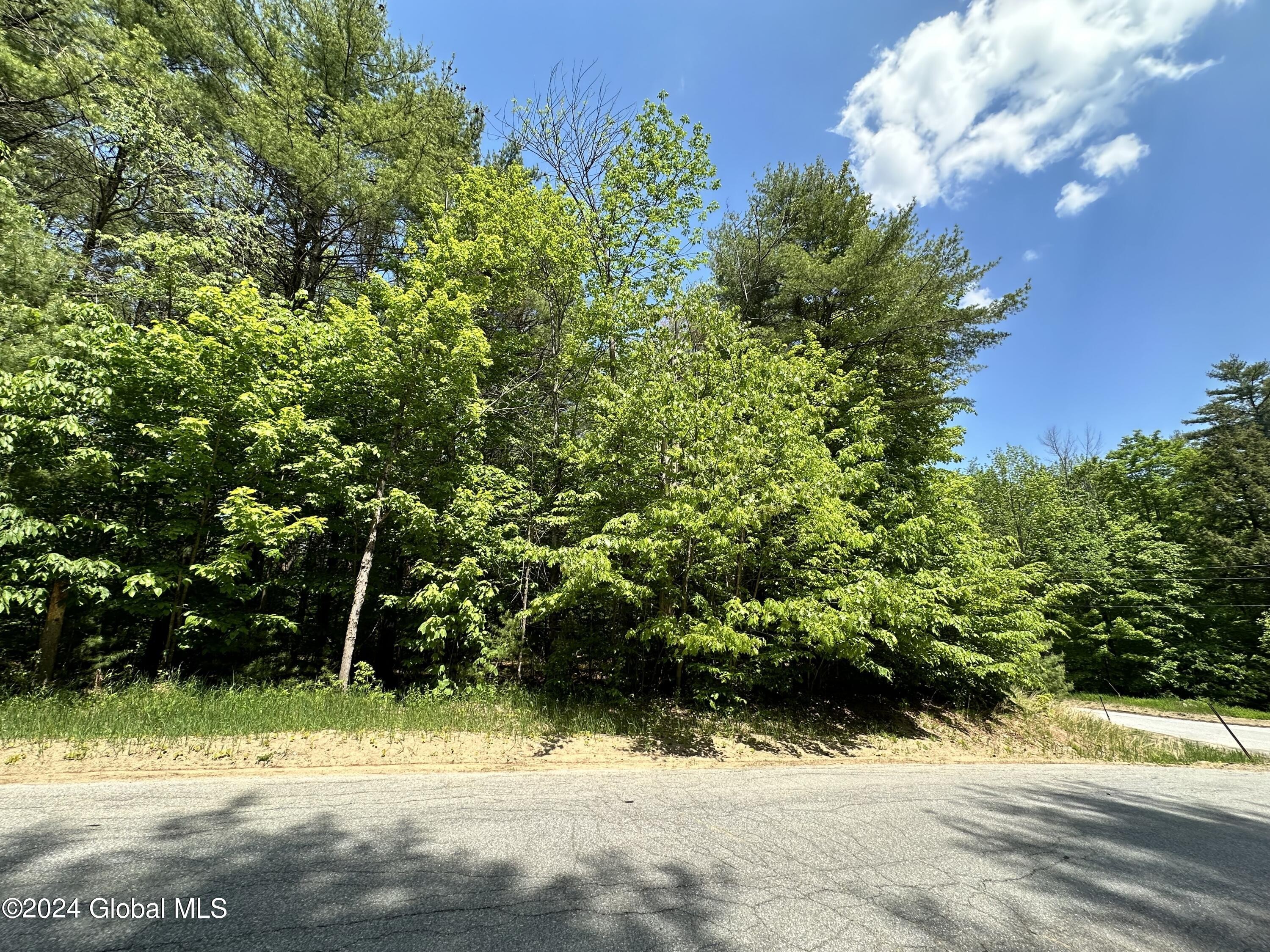 1. L45.13 Overlook Cemetery Road