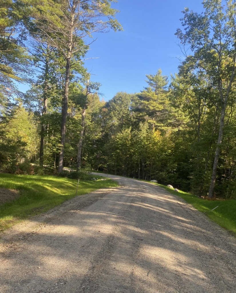 2. Turning  Leaf Lane