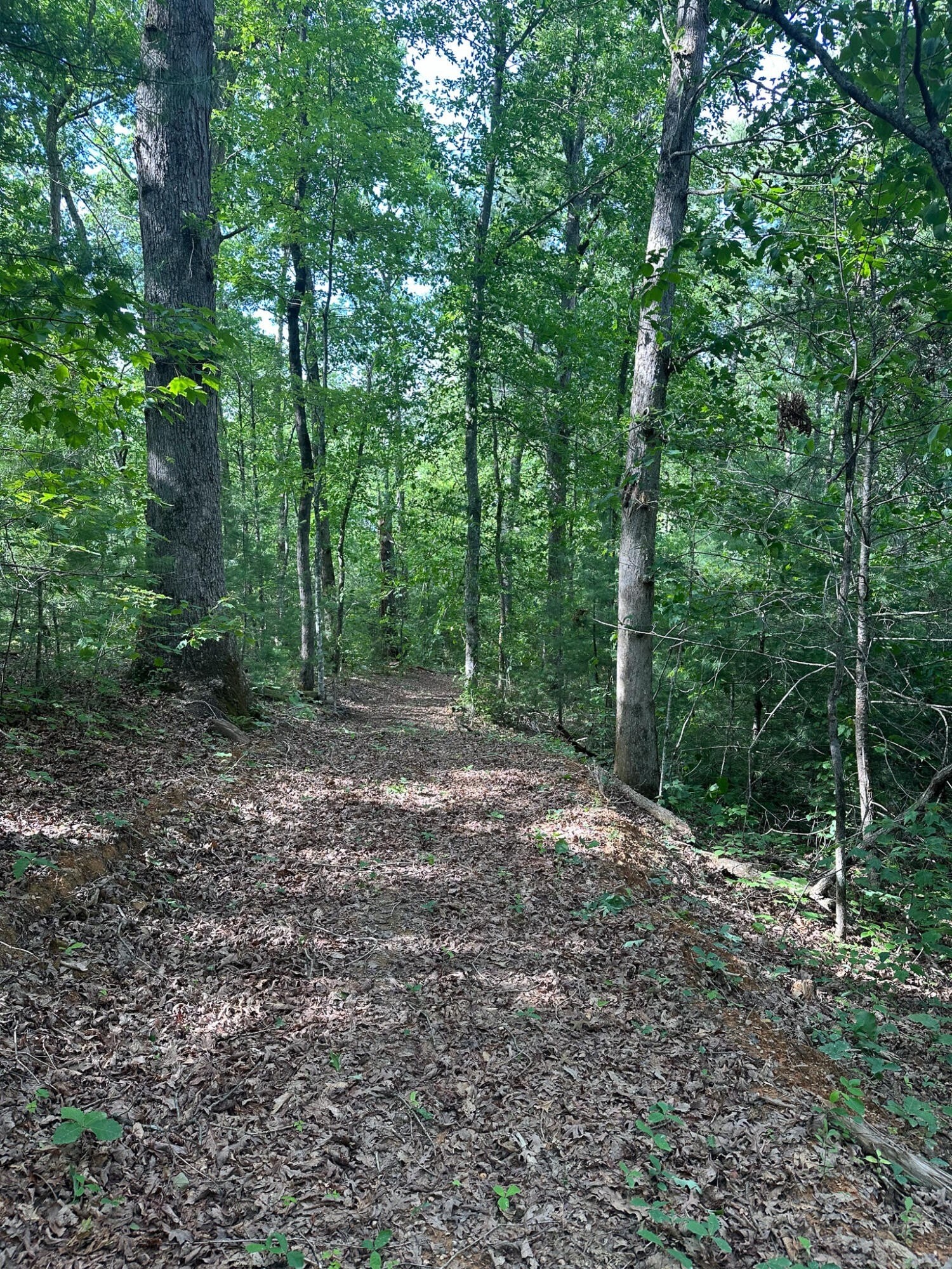 42. Lot 15,16r Little Bear Trail